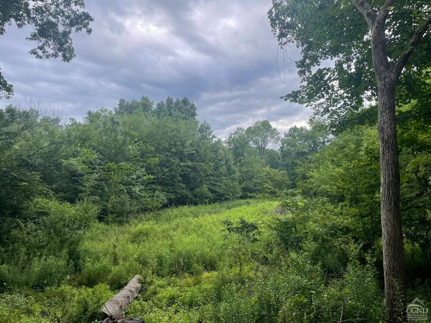 400 Pitts Road, Chatham, New York image 8