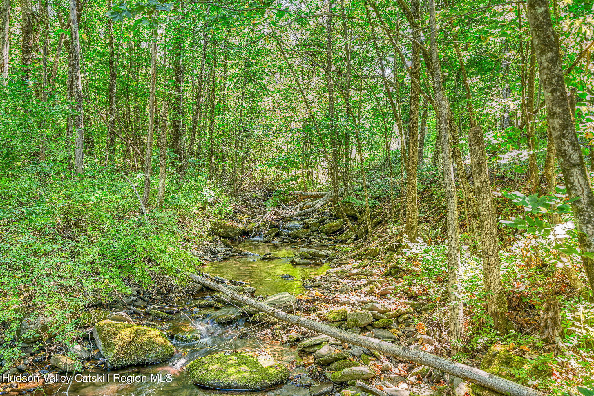 544 Herdman Road, Shandaken, New York image 50