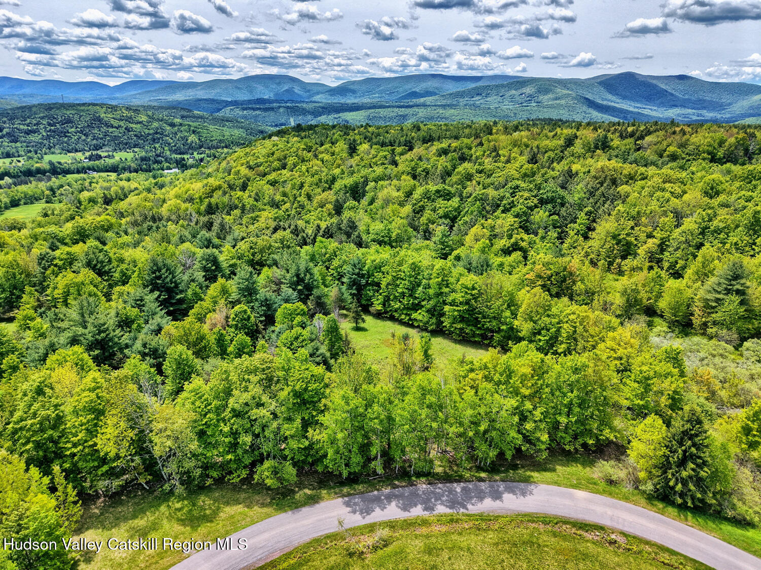 60 Blueberry Estates, Prattsville, New York image 8