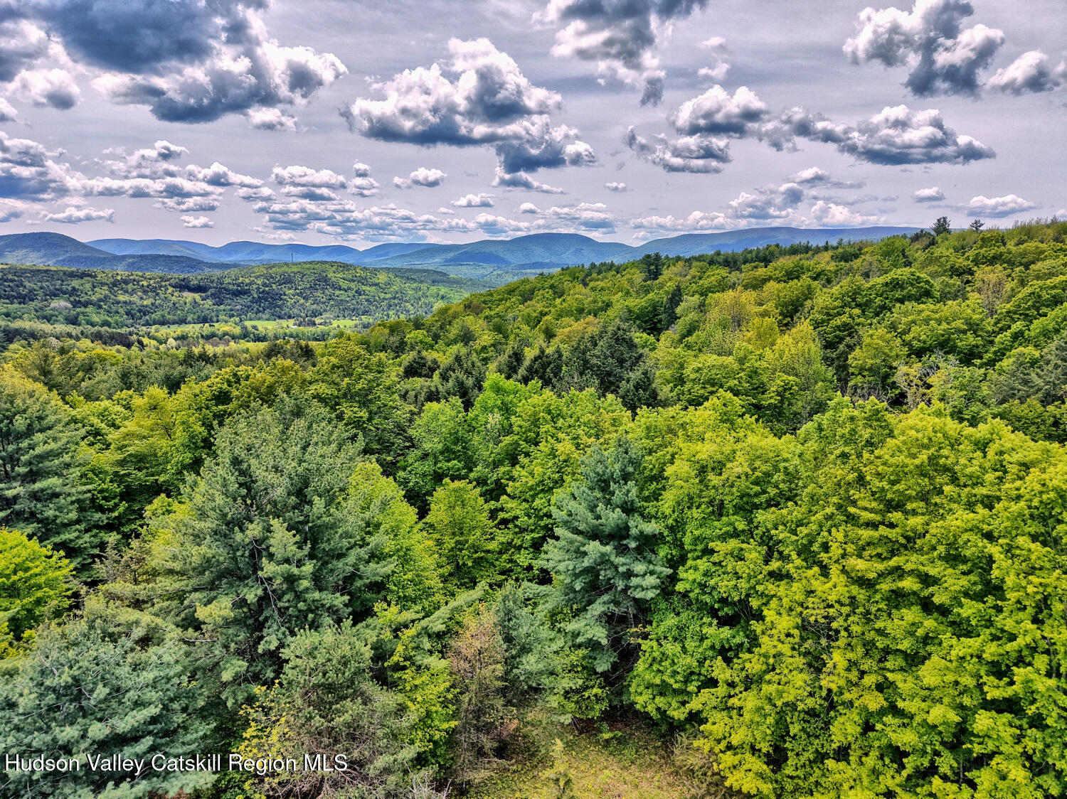 60 Blueberry Estates, Prattsville, New York image 24