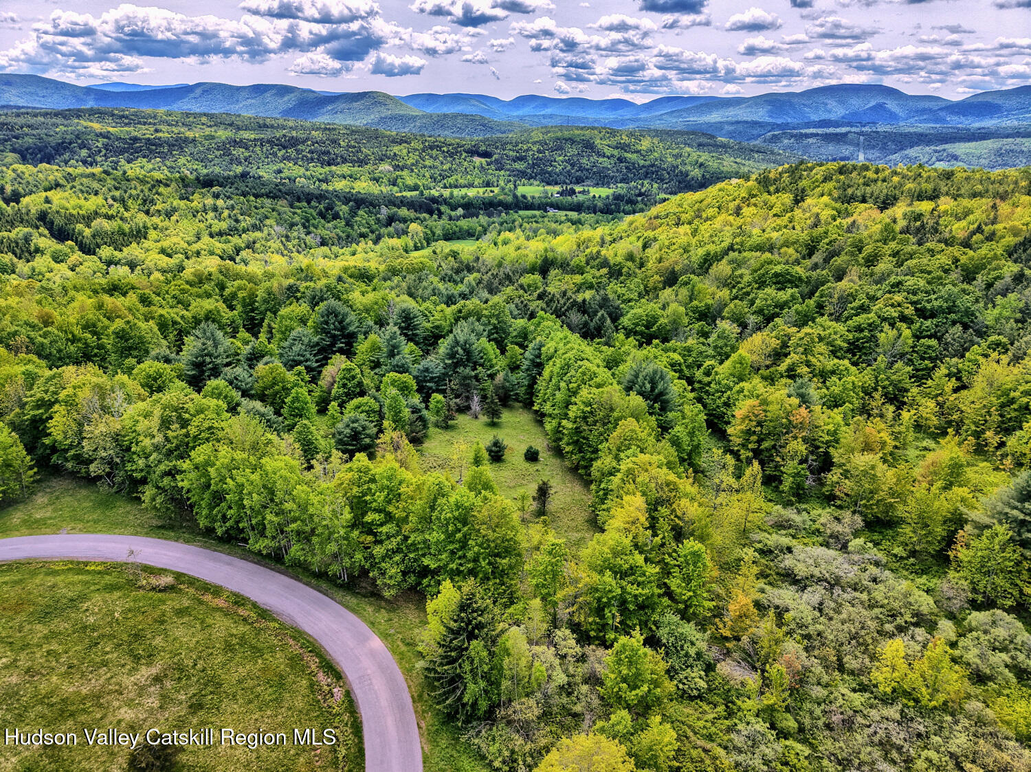 60 Blueberry Estates, Prattsville, New York image 3
