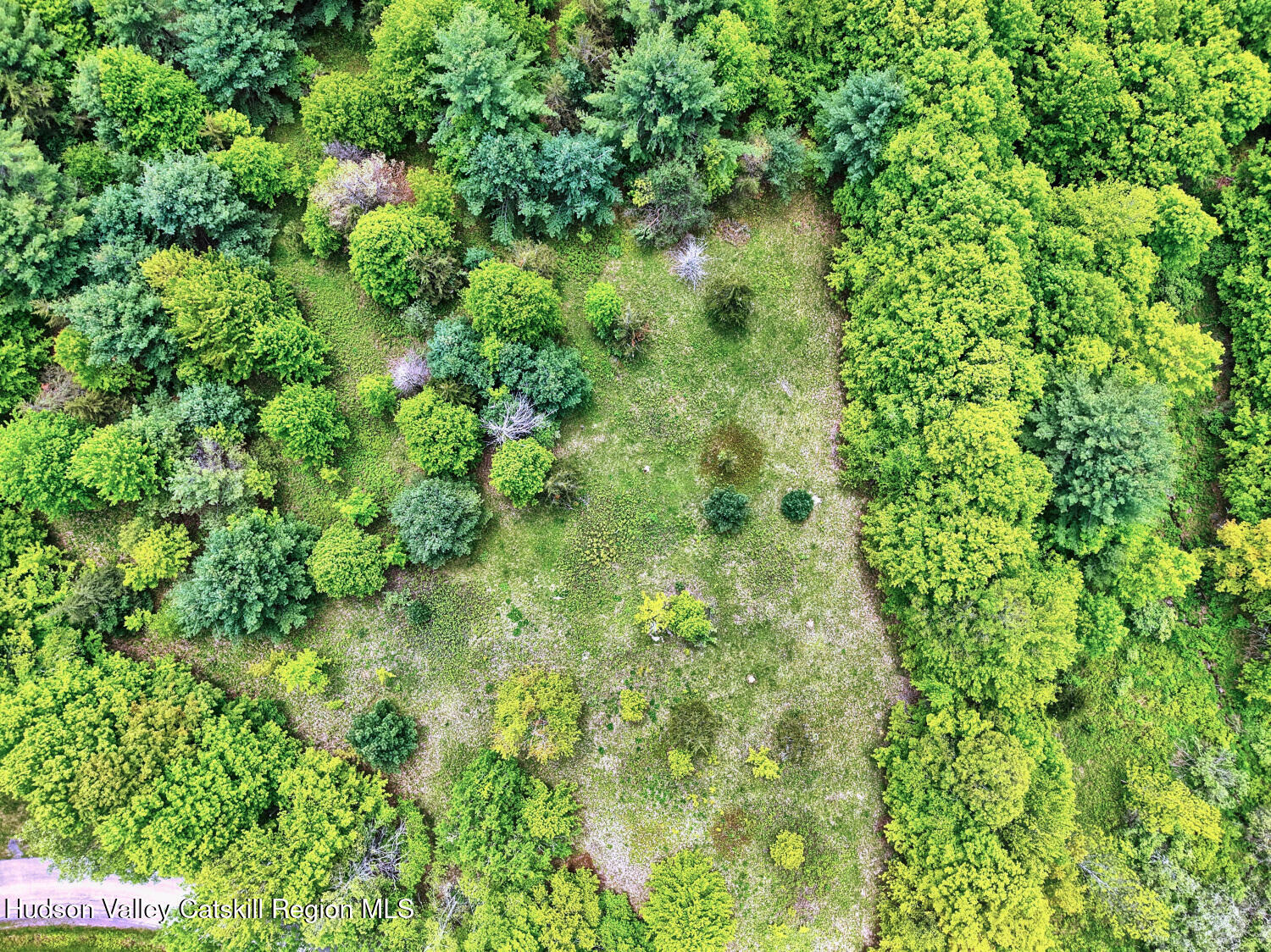 60 Blueberry Estates, Prattsville, New York image 28