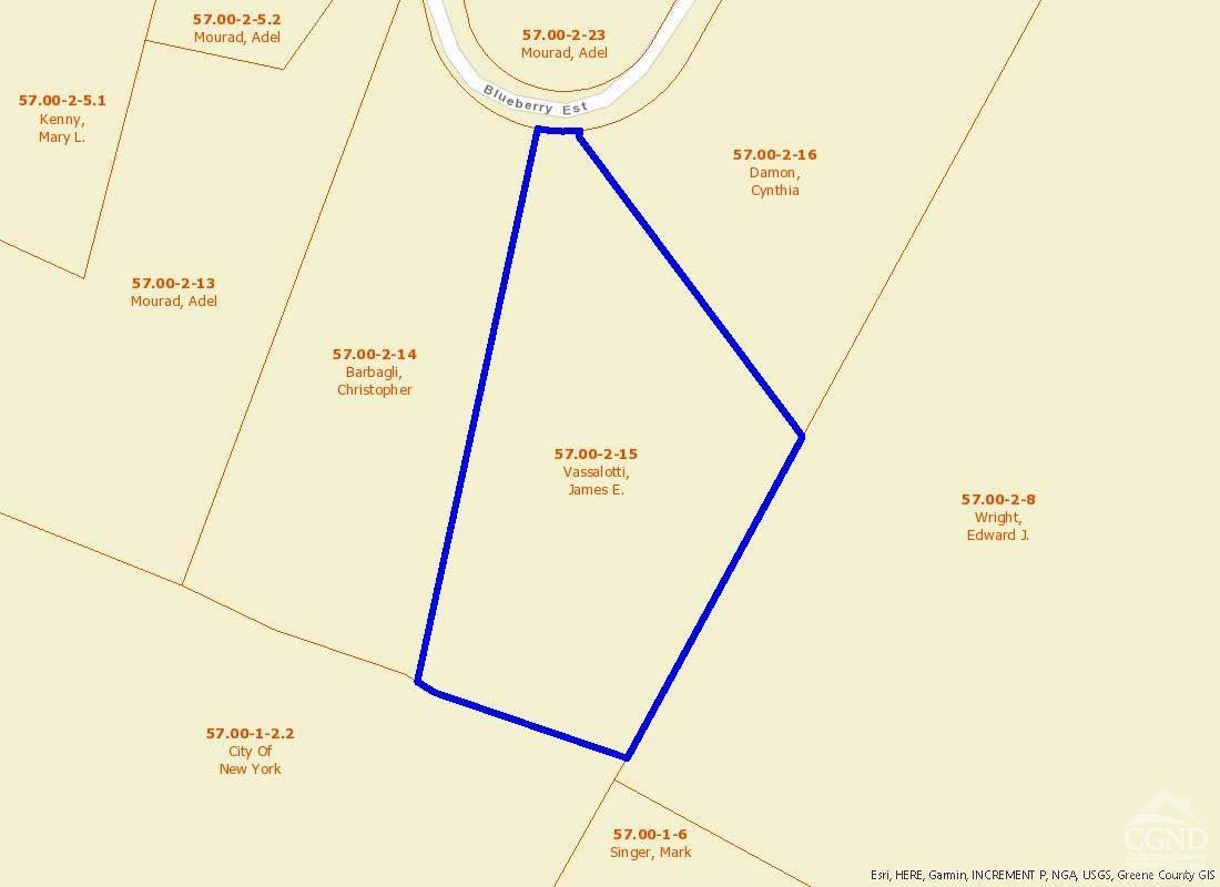60 Blueberry Estates, Prattsville, New York image 5