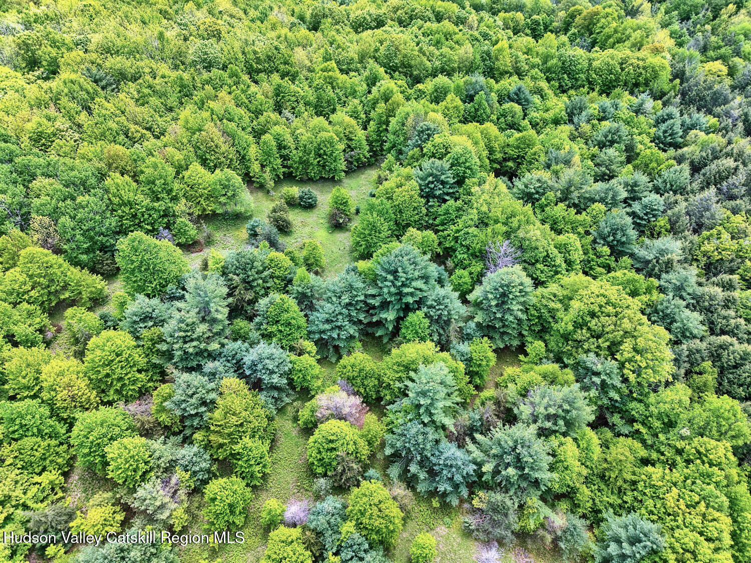60 Blueberry Estates, Prattsville, New York image 26