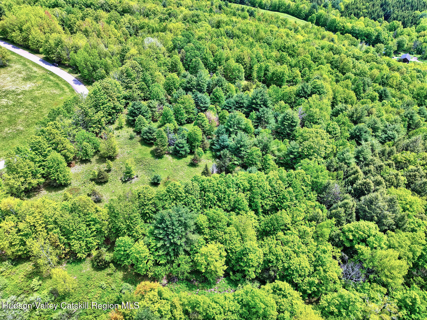 60 Blueberry Estates, Prattsville, New York image 10