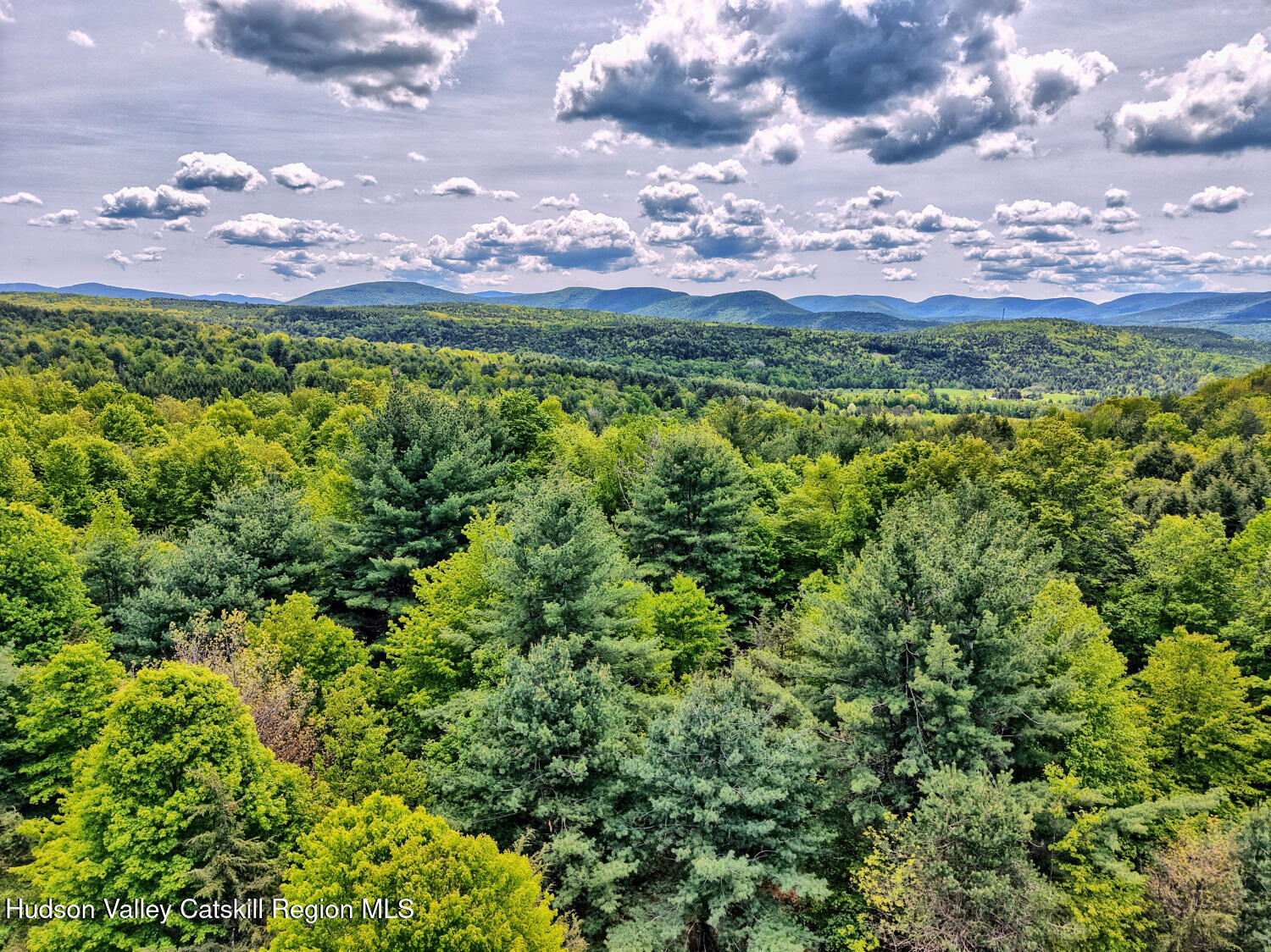 60 Blueberry Estates, Prattsville, New York image 25