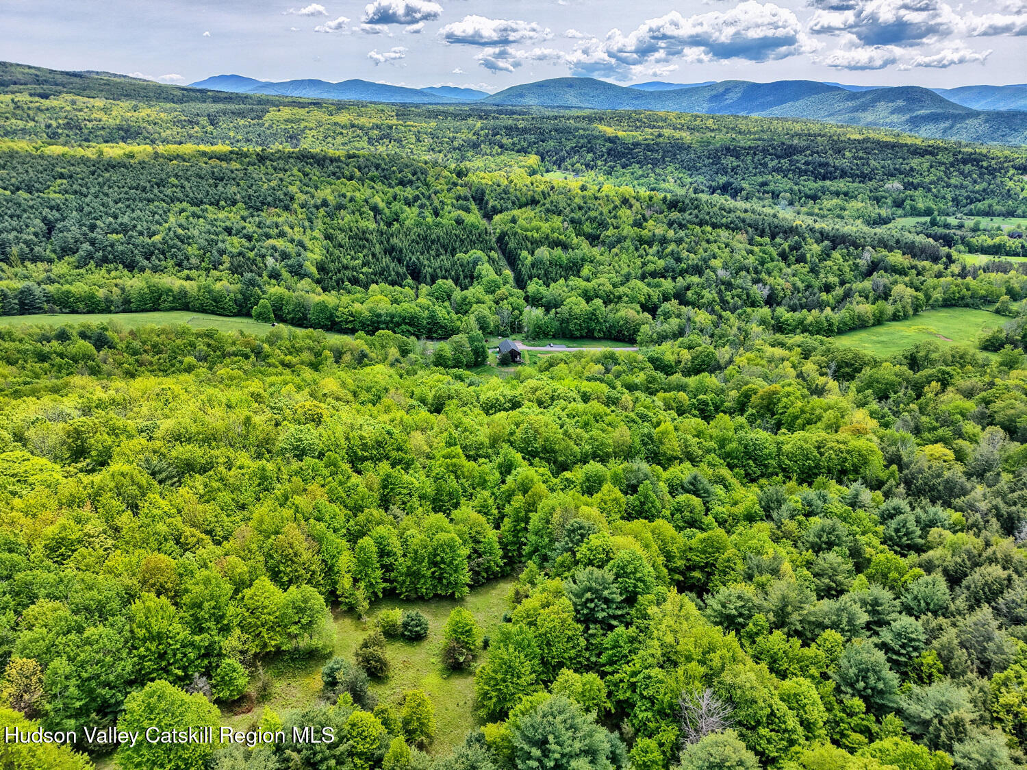 60 Blueberry Estates, Prattsville, New York image 12