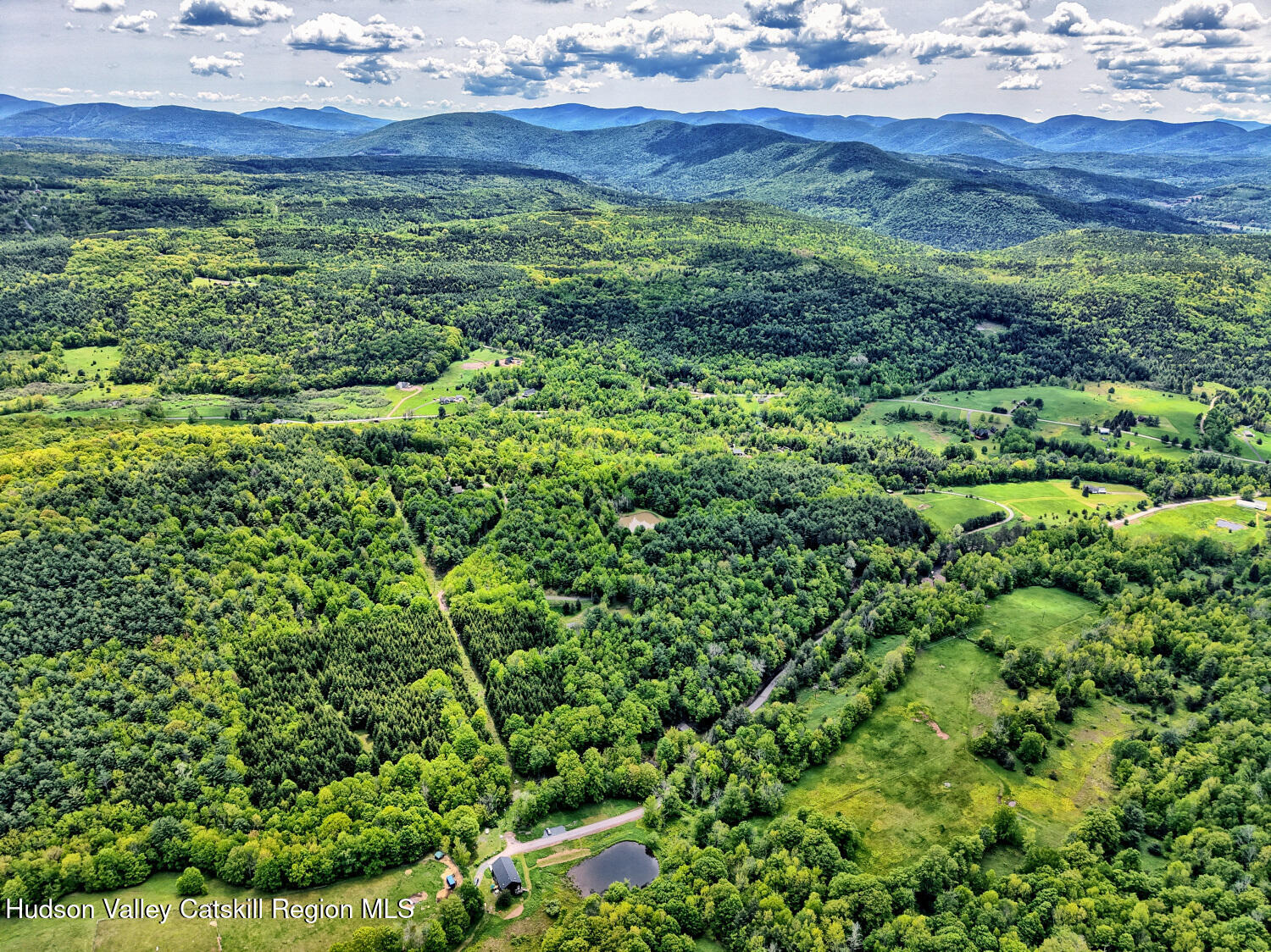 60 Blueberry Estates, Prattsville, New York image 30