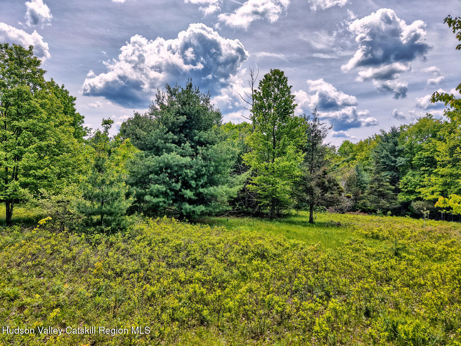 60 Blueberry Estates, Prattsville, New York image 16