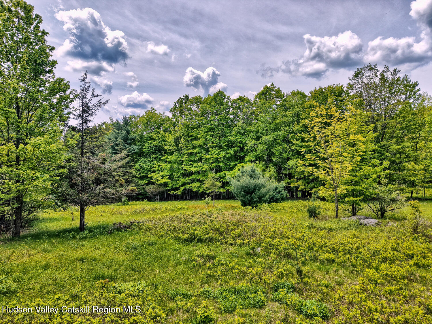 60 Blueberry Estates, Prattsville, New York image 18