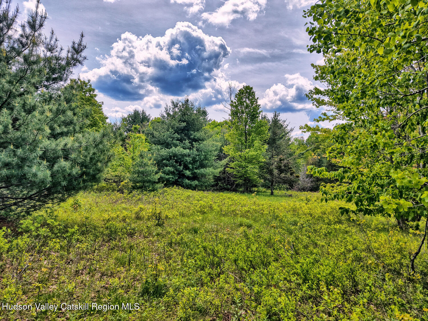60 Blueberry Estates, Prattsville, New York image 15