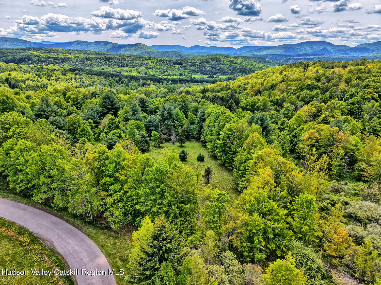 60 Blueberry Estates, Prattsville, New York image 6
