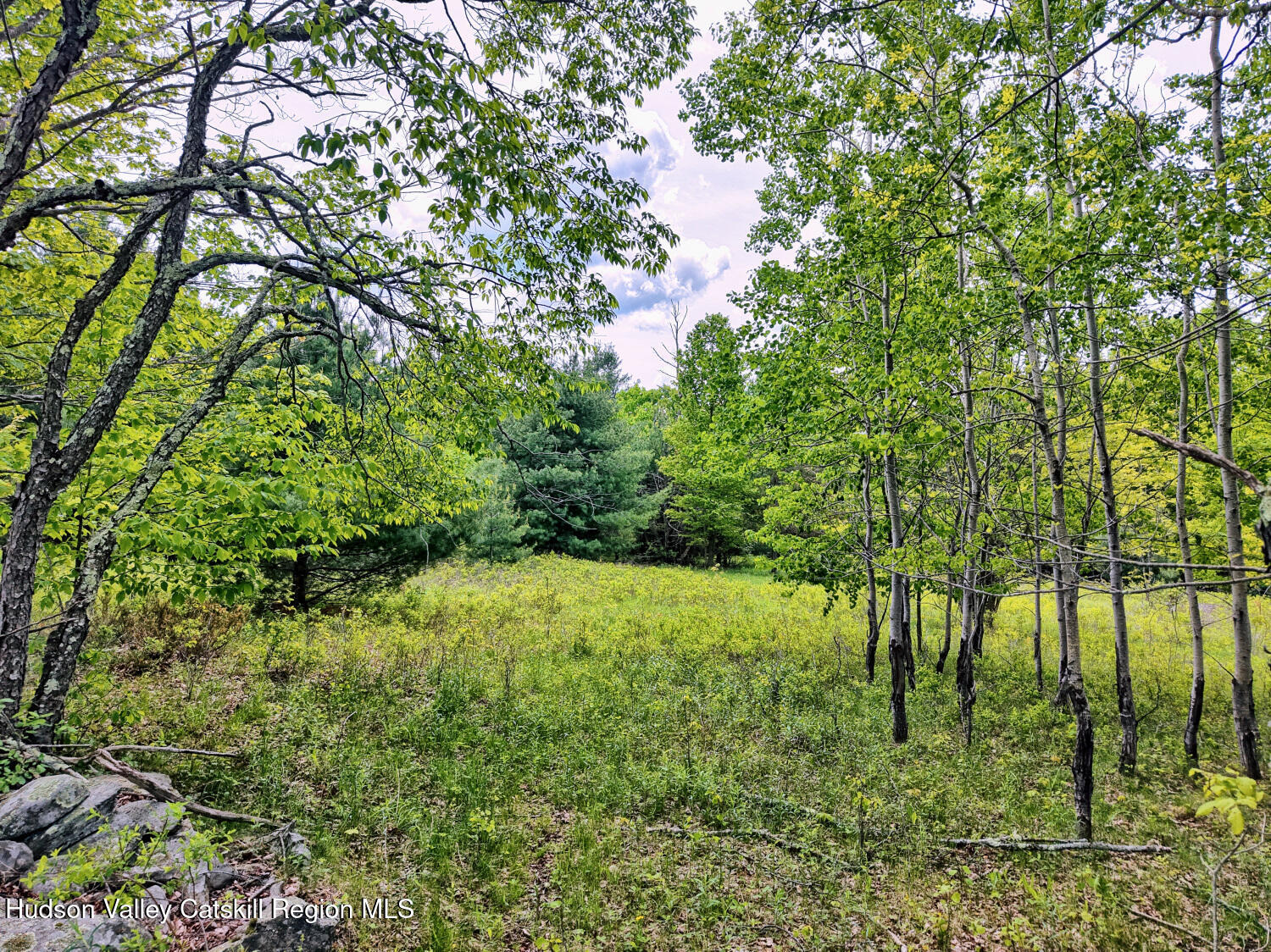 60 Blueberry Estates, Prattsville, New York image 14