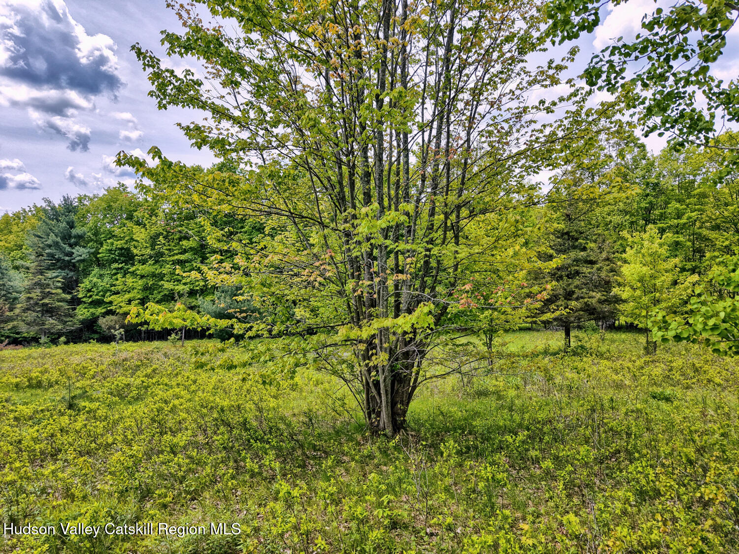 60 Blueberry Estates, Prattsville, New York image 17
