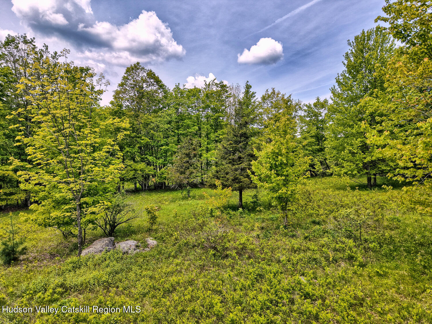 60 Blueberry Estates, Prattsville, New York image 20