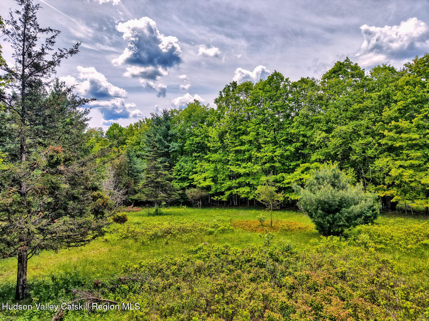 60 Blueberry Estates, Prattsville, New York image 19
