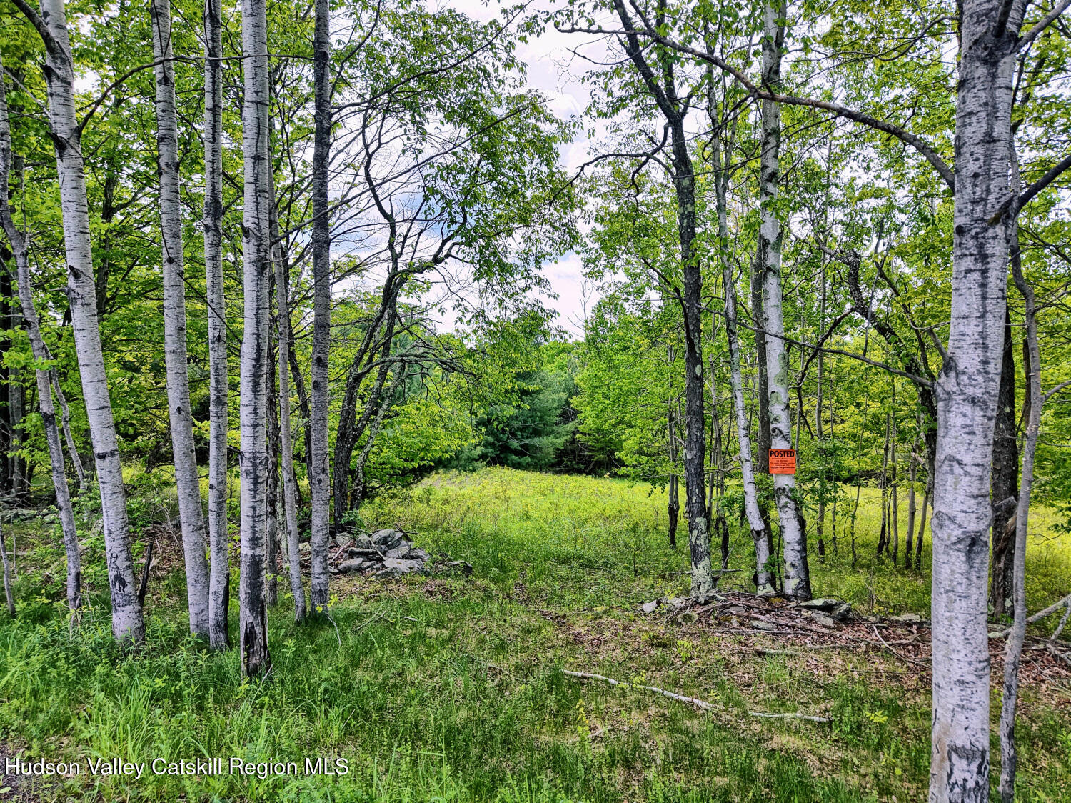60 Blueberry Estates, Prattsville, New York image 13