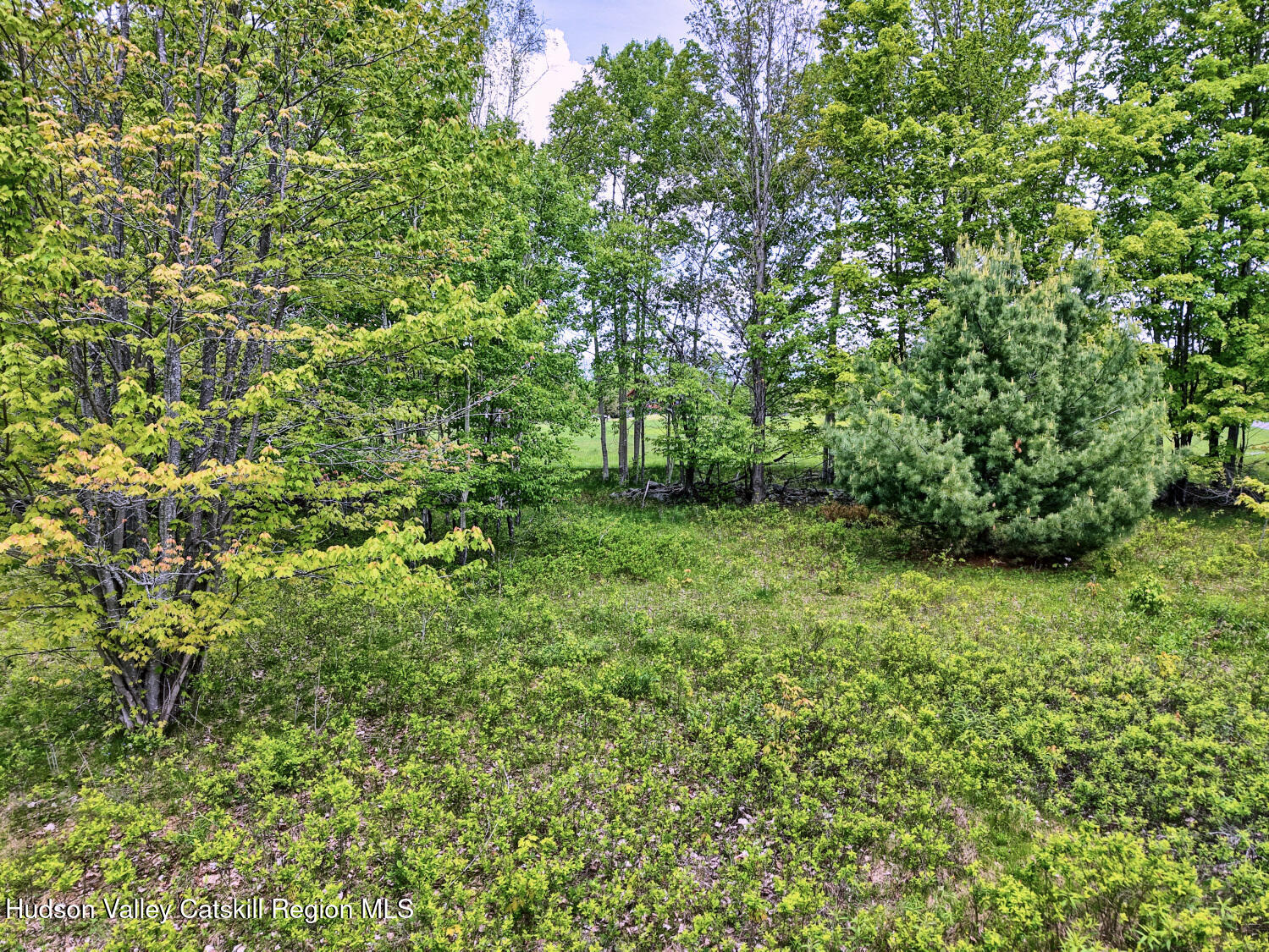 60 Blueberry Estates, Prattsville, New York image 22