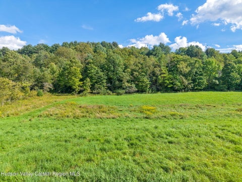 Vacant Land For Sale - 1034 Flat Creek Road<br/> Gilboa, NY 12076