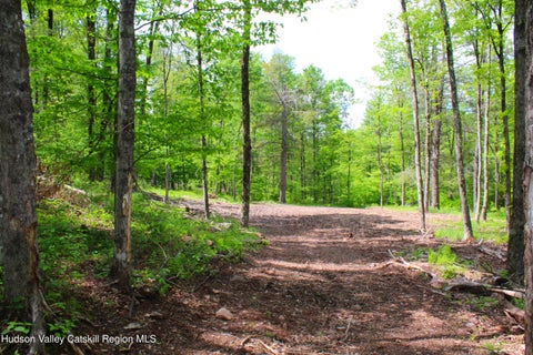 Vacant Land For Sale - 380 Terrace Drive<br/> Greene County, Lexington, NY 12468