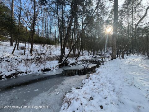 Vacant Land For Sale - 26 Mossy Brook Road<br/> High Falls, NY 12440