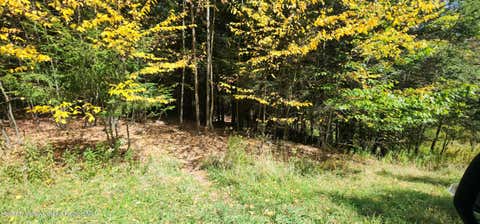 Vacant Land For Sale - 128 Brittany Hill Road<br/> Jewett, NY 12444