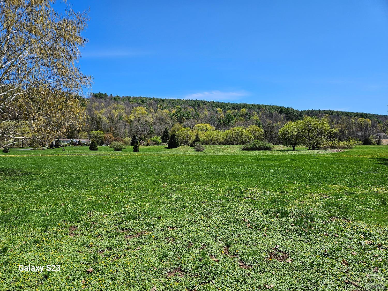 80 Route 7, Prattsville, New York image 14
