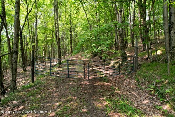 PARADISE CAMP RD, FLEISCHMANNS, NY 12430 - Image c19f9afb47045ad85ad95c3da7358bbf/1973147069