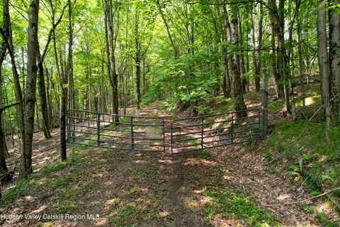Vacant Land For Sale - Paradise Camp Road<br/> Fleischmanns, NY 12430
