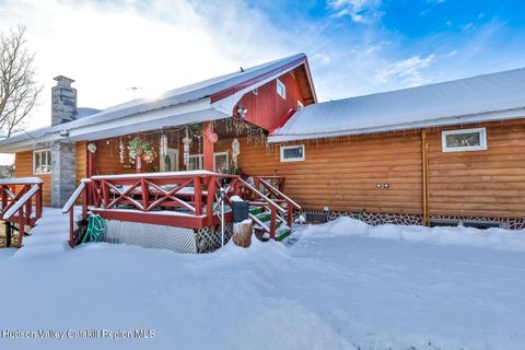 Homes For Sale - 19 & 25 Van Drive<br/> Tannersville, NY 12485