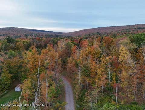 Vacant Land For Sale - TBD Kornell Drive<br/> Greene County, Haines Falls, NY 12436