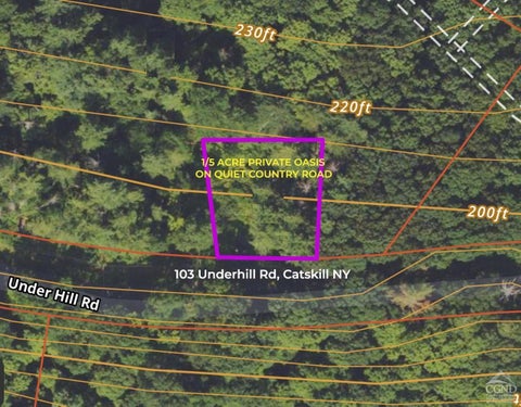 Vacant Land For Sale - 103 Underhill Road<br/> Catskill, NY 12414
