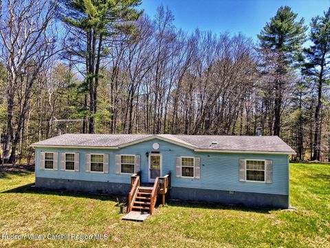 Photo of 63 Meadow Road, Cairo, NY 12413 (MLS # 20262076)