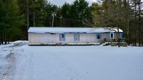 Photo of 95 Pine Tree Lane, Cairo, NY 12413 (MLS # 20260183)