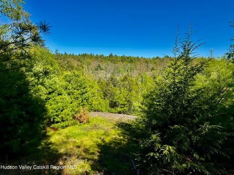 Vacant Land For Sale - 101 Stone Road<br/> Ulster County, Accord, NY 12404