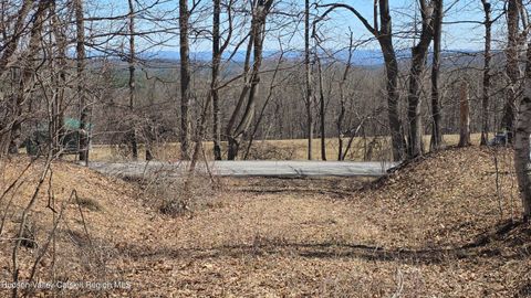 Vacant Land For Sale - King Hill Road<br/> Freehold, NY 12431