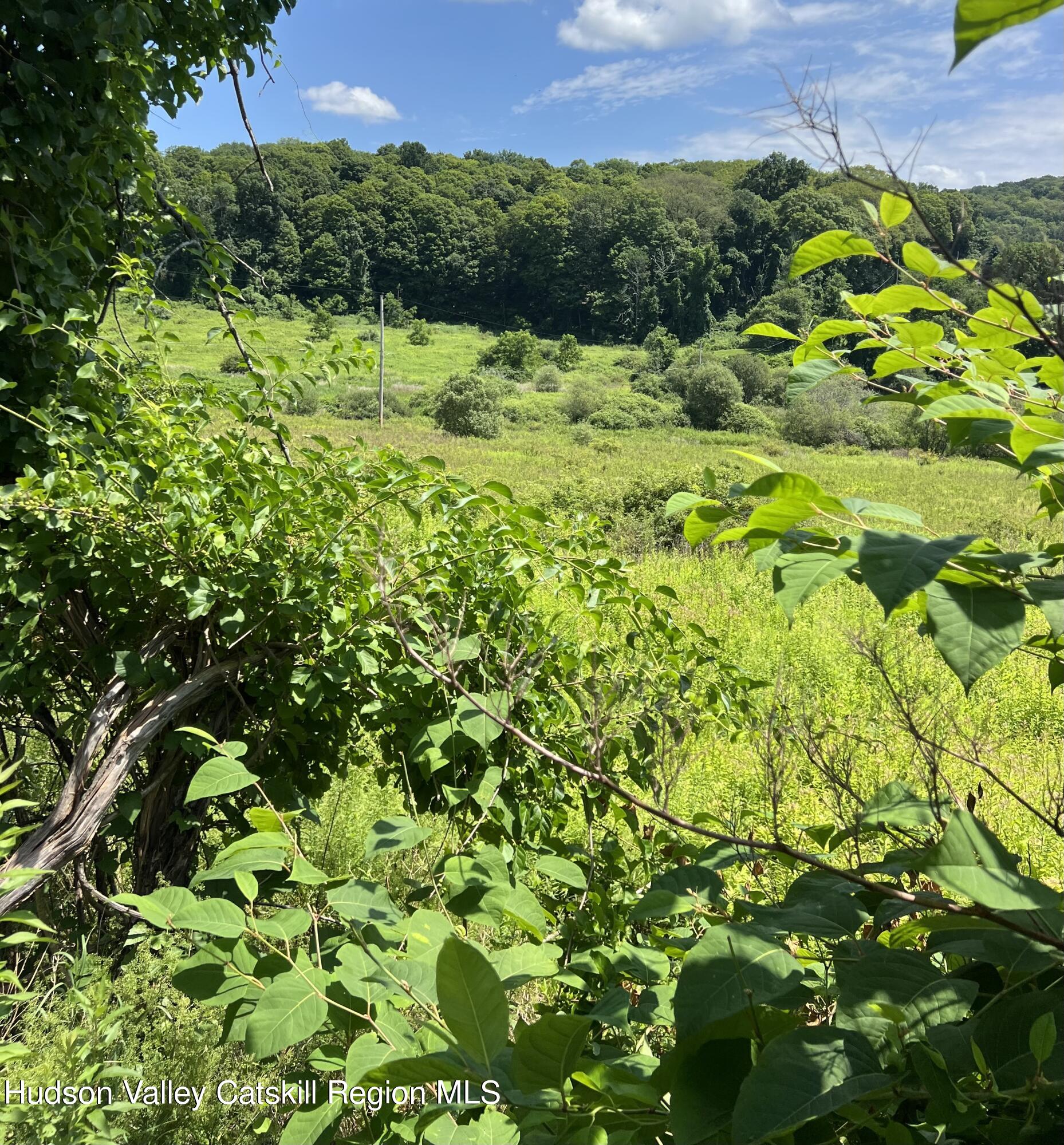Pleasant Ridge Road, Poughquag, New York image 1