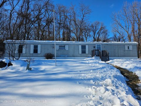 Photo of 40 Indiana Street, Connelly, NY 12417 (MLS # 20260464)