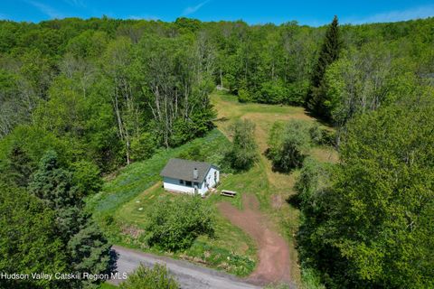 Photo of 361 Elk Creek Road, Fleischmanns, NY 12430 (MLS # 20262789)