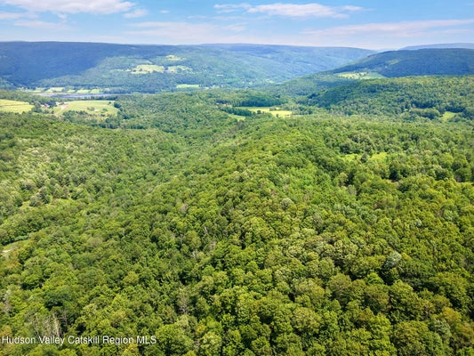 255 LASSEN RD, MIDDLEBURGH, NY 12122 - Image cabcf9c7e83e7f87b9fa7b6dbede117e/2673887804