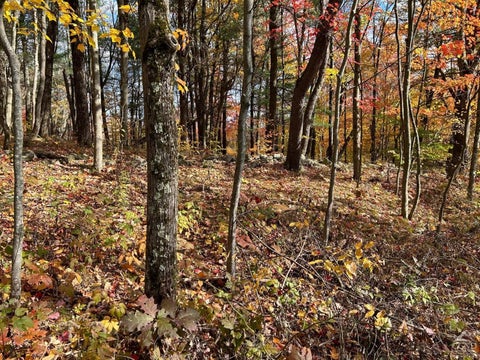 Vacant Land For Sale - 1 West Hill Road<br/> Austerlitz, NY 12017