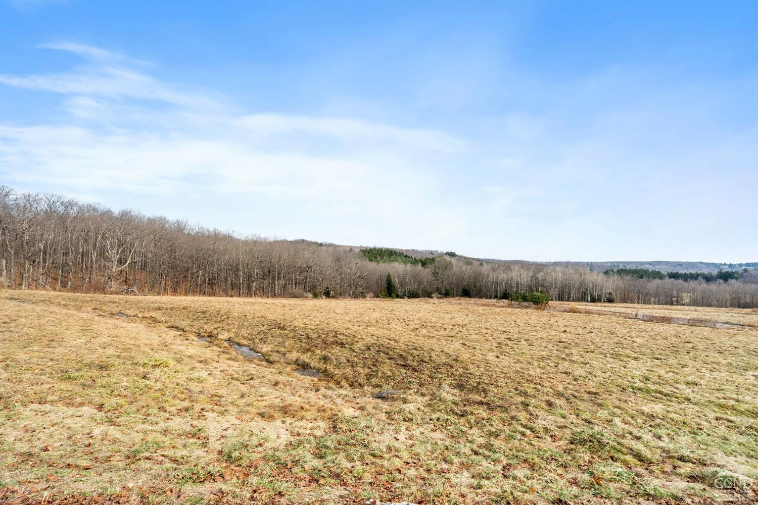 County Route, Rensselaerville, New York image 3