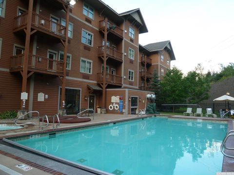 Photo of 62 Liftside Drive #303-Week 2, Hunter, NY 12442 (MLS # 20262049)