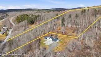 0 WRIGHT ROAD, JEWETT, NY 12444 - Image d032aad2b5908fef02f6c9549376f6cd/137331097