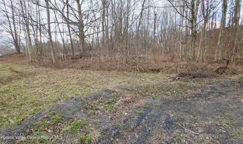 Vacant Land For Sale - Flinn Road<br/> Cornwallville, NY 12418