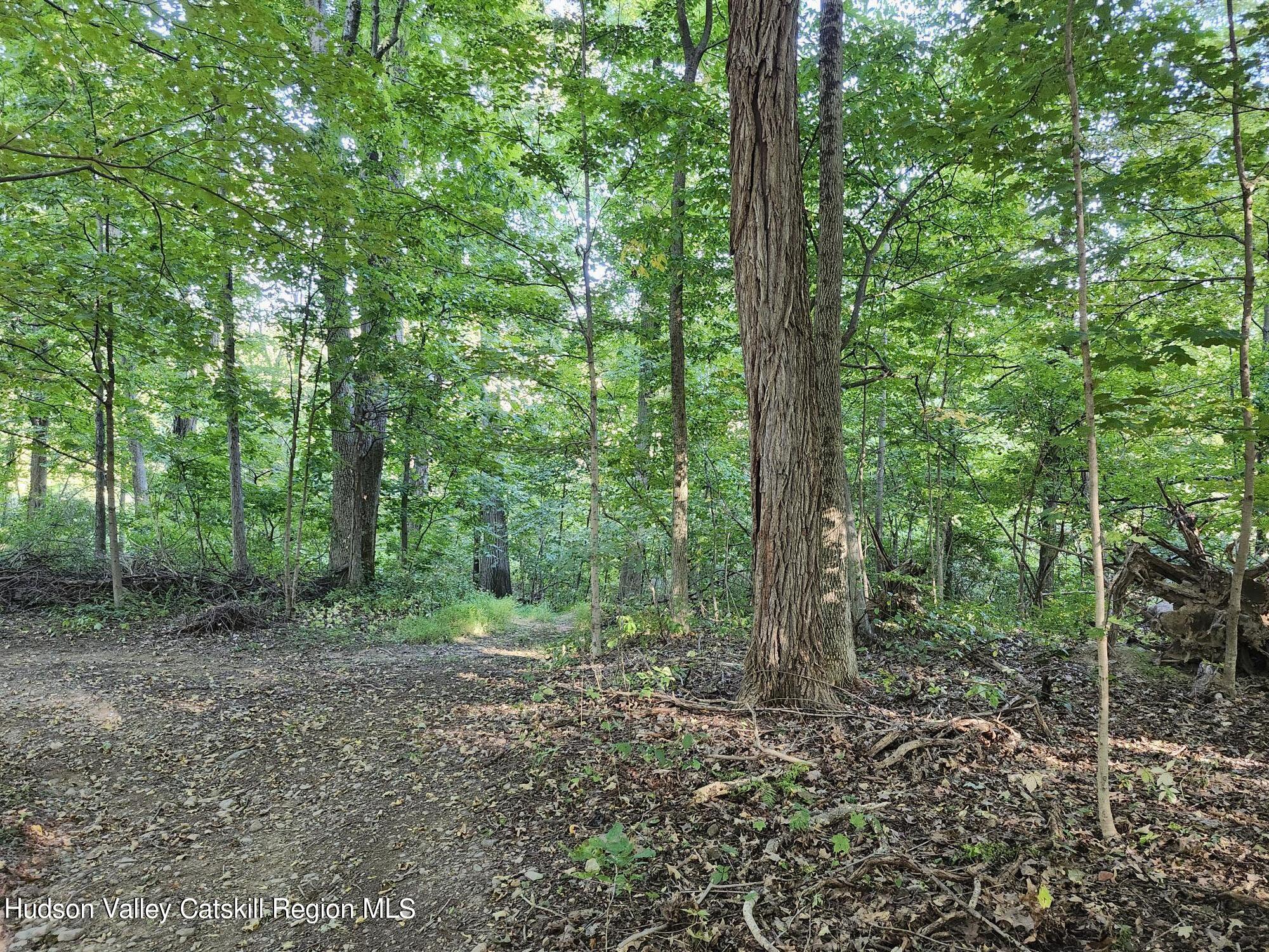 188 Old Stage Road, Saugerties, Ohio image 5