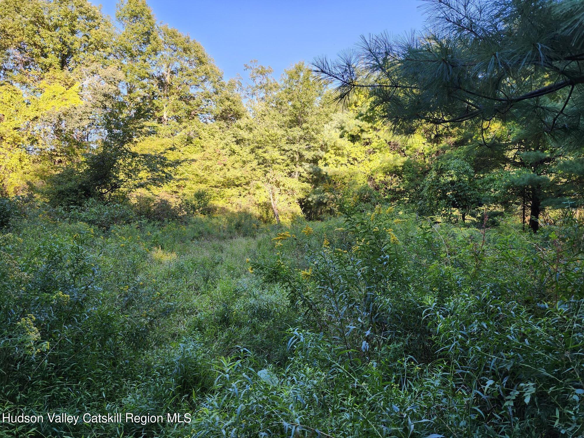 188 Old Stage Road, Saugerties, Ohio image 6
