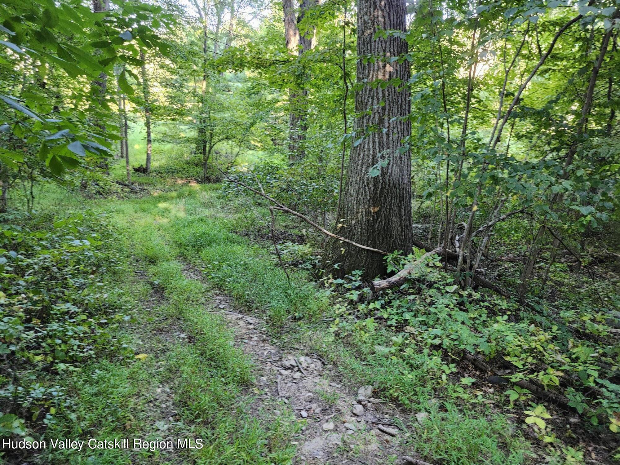 188 Old Stage Road, Saugerties, Ohio image 1