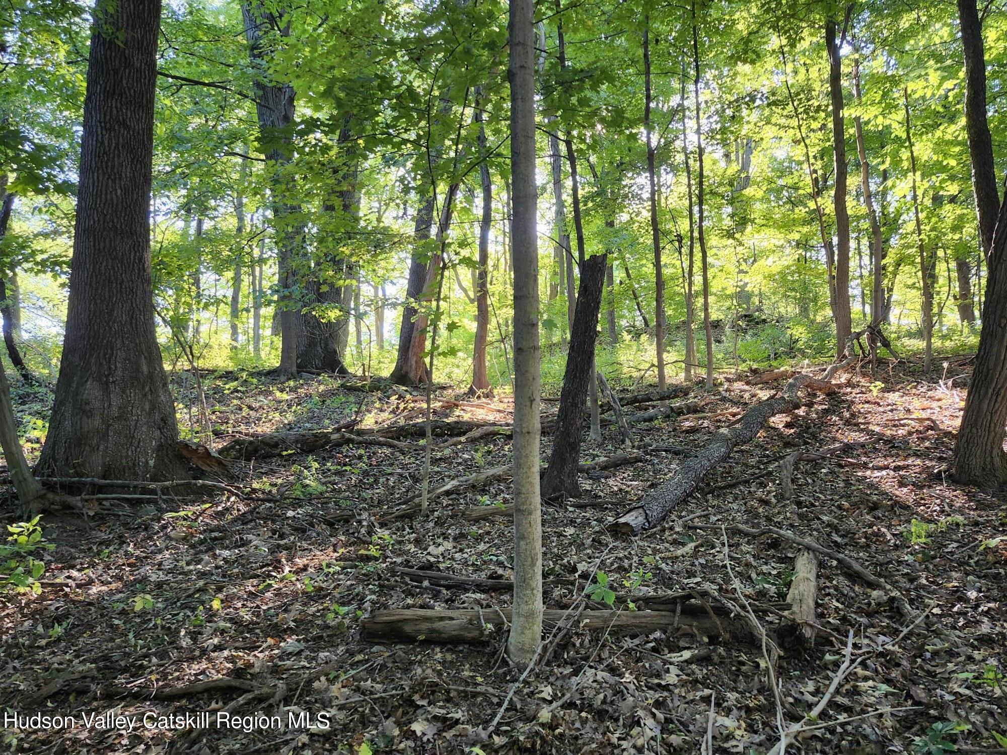 188 Old Stage Road, Saugerties, Ohio image 4