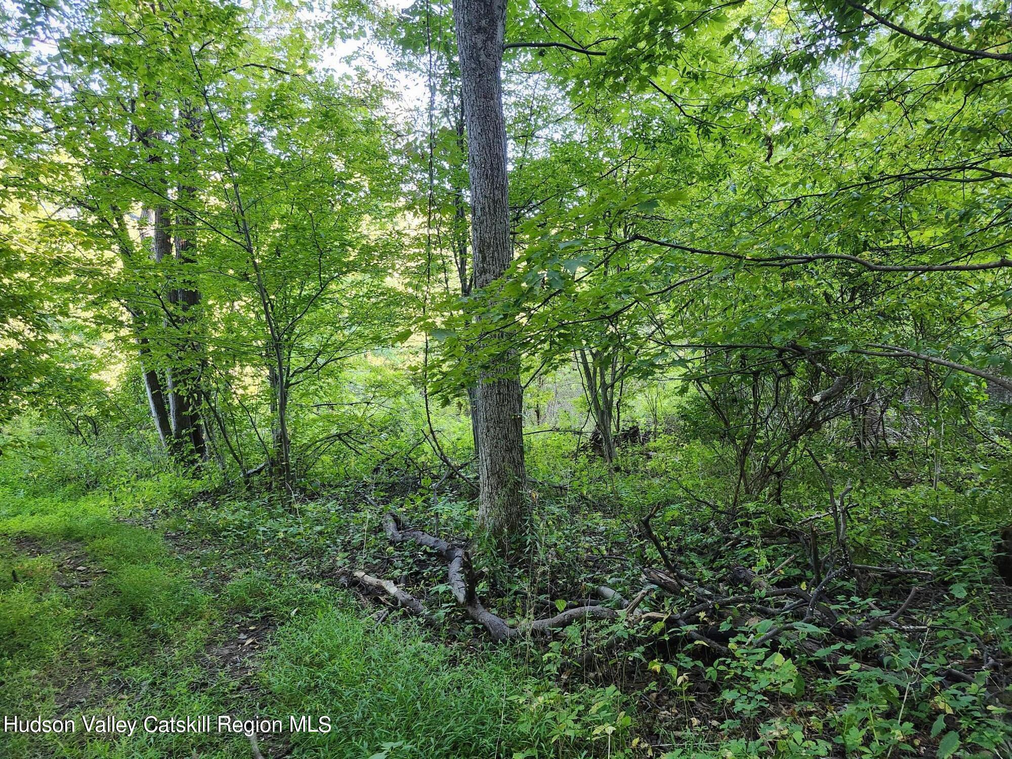 188 Old Stage Road, Saugerties, Ohio image 2